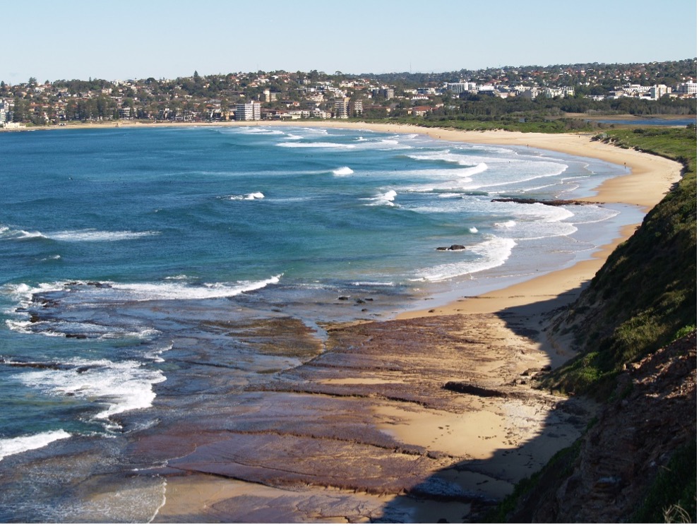 My First Site - Full Day Northern Beaches with Lunch at Palm Beach  - illustration 1646ca4c-3643-486a-9b3f-d397d7e56050